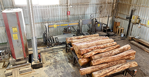 Ahşap Palet Fabrikası